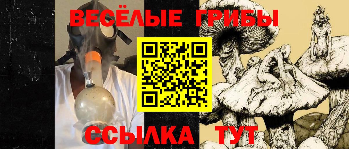 Галлюциногенные грибы Magic Shrooms Саяногорск